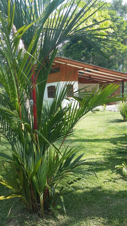 Los Delfines Lodge Puerto Viejo de Talamanca Rom bilde