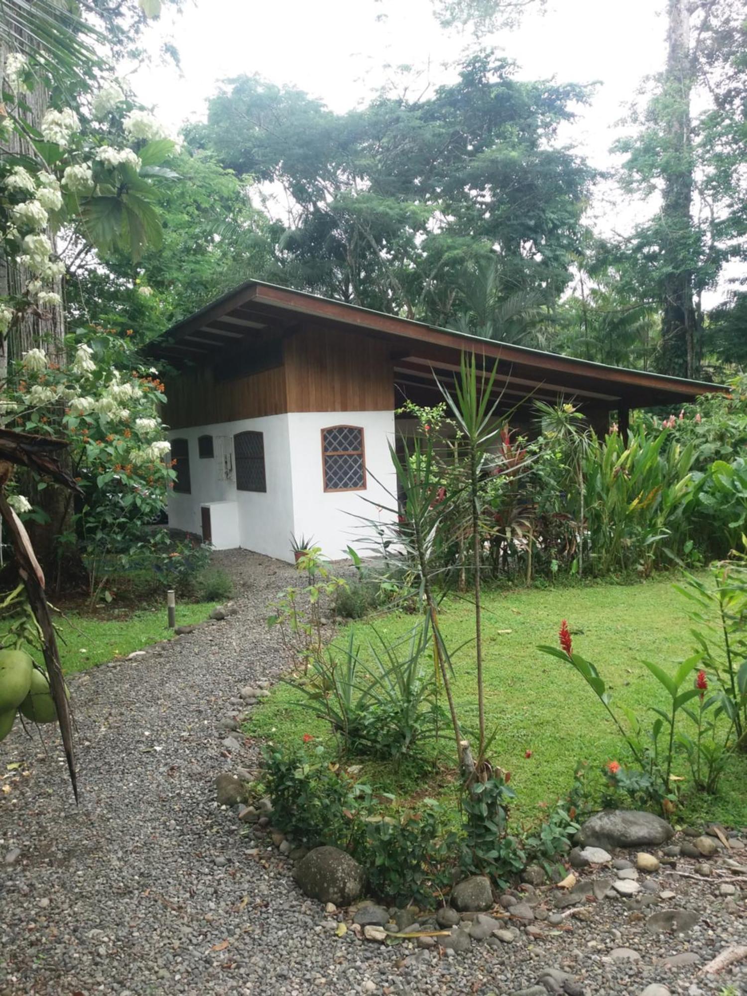 Los Delfines Lodge Puerto Viejo de Talamanca Eksteriør bilde